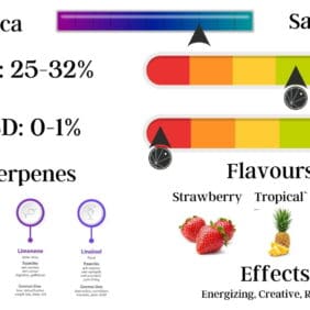 Strawberry Runtz Strain Information