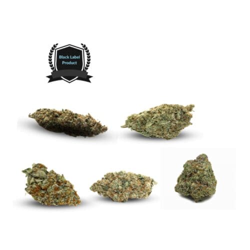 Black Label Exotic Indica Lovers Trial Pack (Tiger Blood OG , Kmac, Guava Lava, Bubble Gum and Blueberry Truffle)